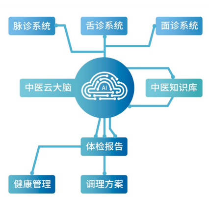 脉象健康体质辨识仪工作图