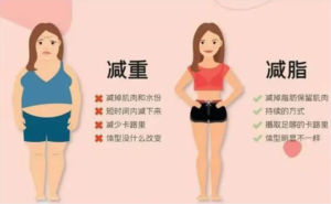 减肥减重瘦身服务