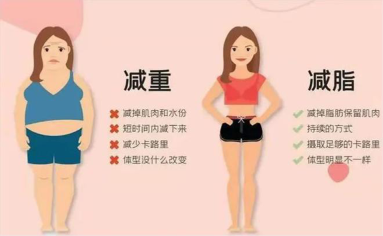 减肥减重瘦身服务