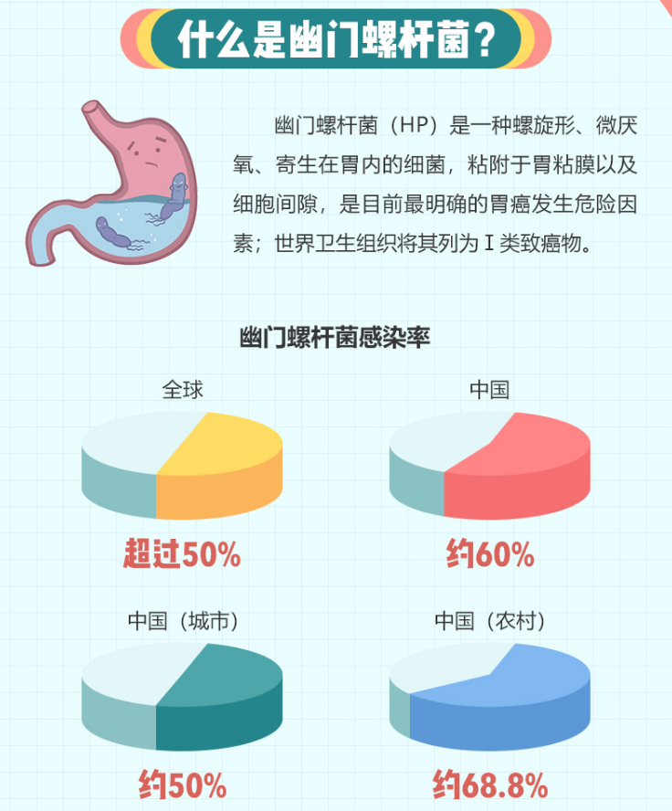 幽门螺杆菌是什么及发病率