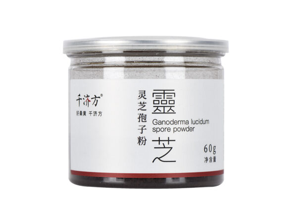 千济方桑黄饮片