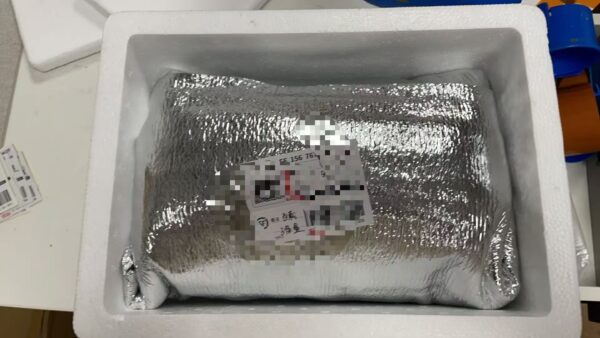 日本礼来替尔泊肽北方发货保温袋加泡沫箱